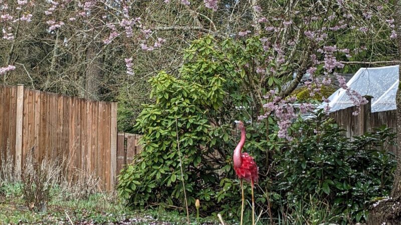 Deer Park - Everett, WA