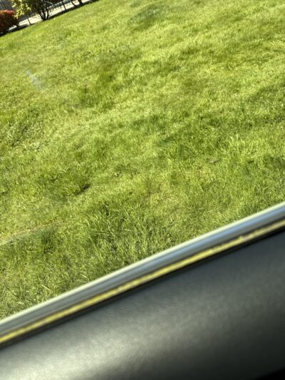 Deer Park - Everett, WA