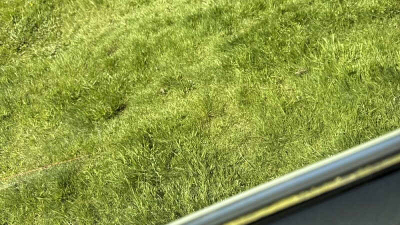 Deer Park - Everett, WA