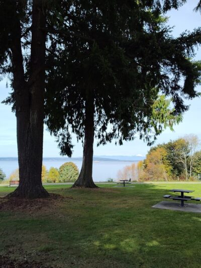 Harborview Park - Everett, WA