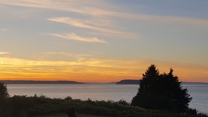 Harborview Park - Everett, WA