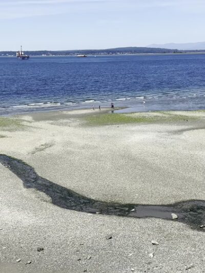 Howarth Off Leash Area - Everett, WA
