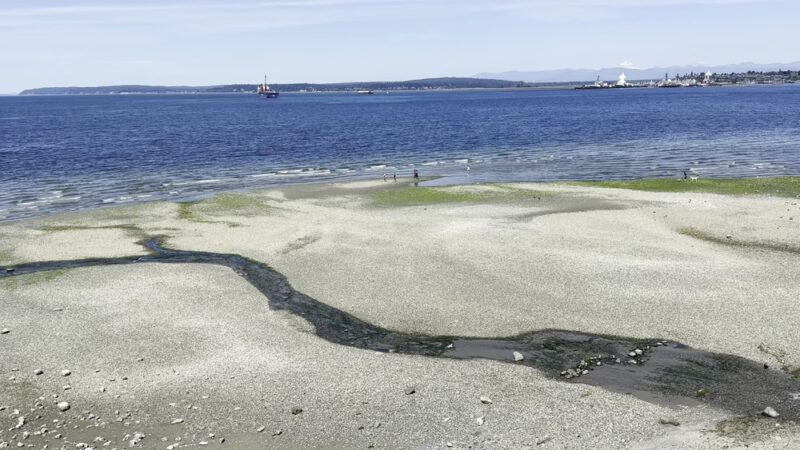 Howarth Off Leash Area - Everett, WA