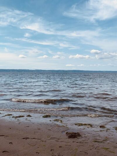 Howarth Off Leash Area - Everett, WA