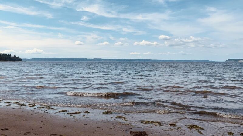 Howarth Off Leash Area - Everett, WA