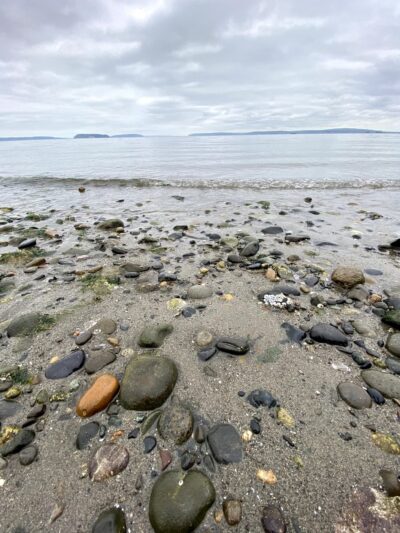Howarth Off Leash Area - Everett, WA