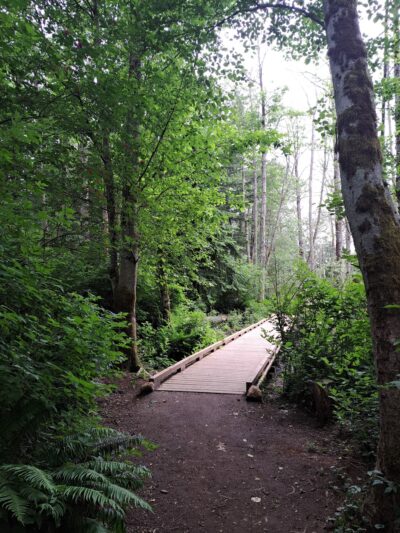 Loganberry Lane Dog Park Entrance - Everett, WA