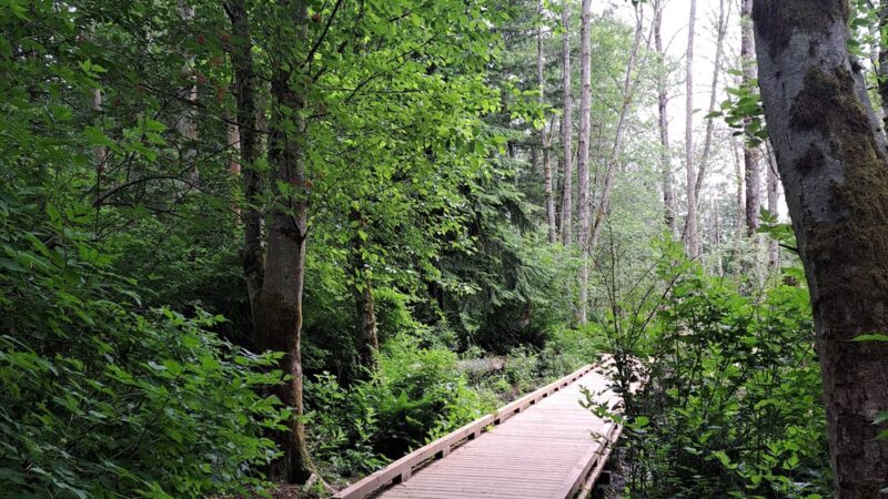 Loganberry Lane Dog Park Entrance - Everett, WA