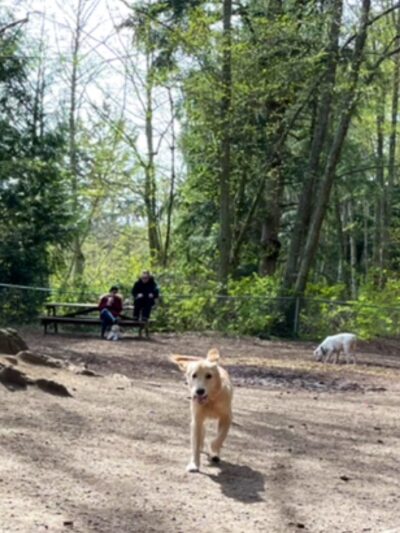 Loganberry Lane Dog Park Entrance - Everett, WA