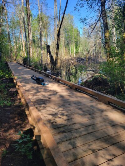 Loganberry Lane Park - Everett, WA