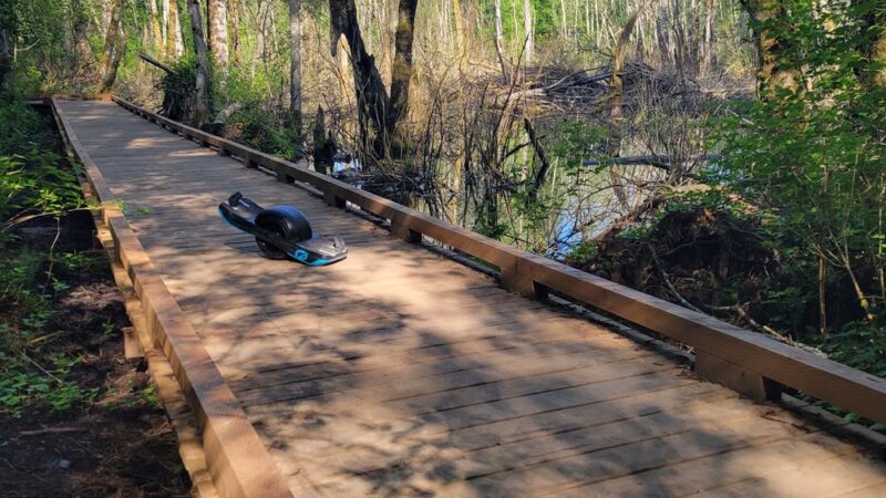 Loganberry Lane Park - Everett, WA