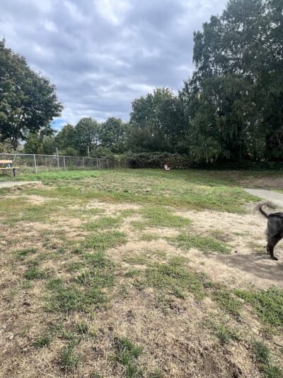 Lowell Dog Park - Everett, WA