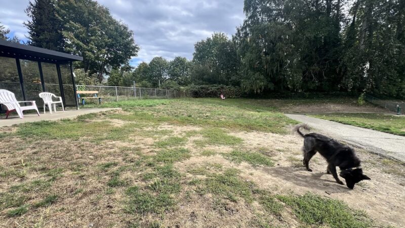 Lowell Dog Park - Everett, WA