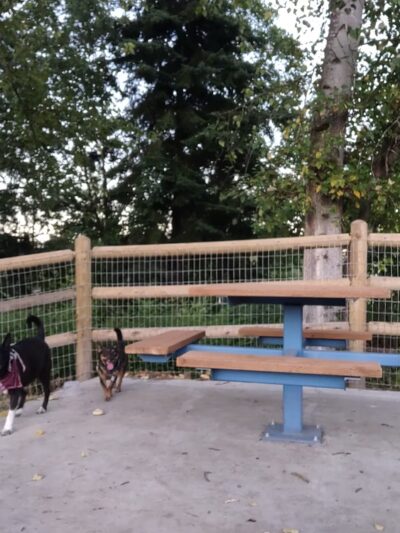 Lowell Riverfront Dog Park - Everett, WA