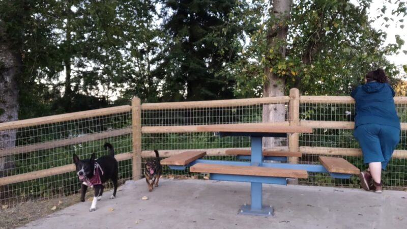 Lowell Riverfront Dog Park - Everett, WA