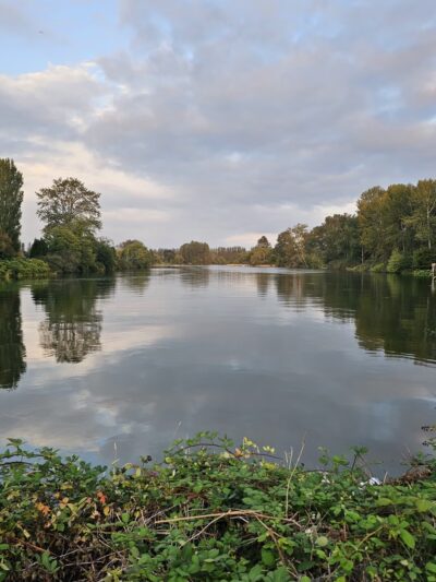 Lowell Riverfront Dog Park - Everett, WA