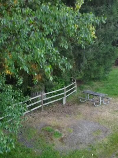 McCollum Park Forest Loop Trail - Everett, WA