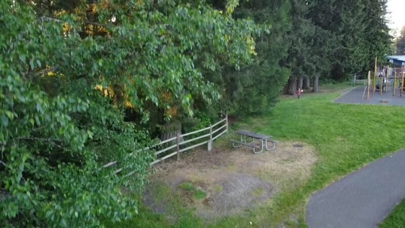 McCollum Park Forest Loop Trail - Everett, WA