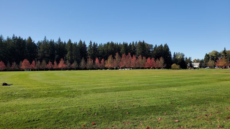 McCollum Park Forest Loop Trail - Everett, WA