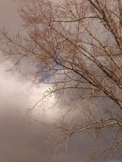 Heathrow Park - Evesham, NJ
