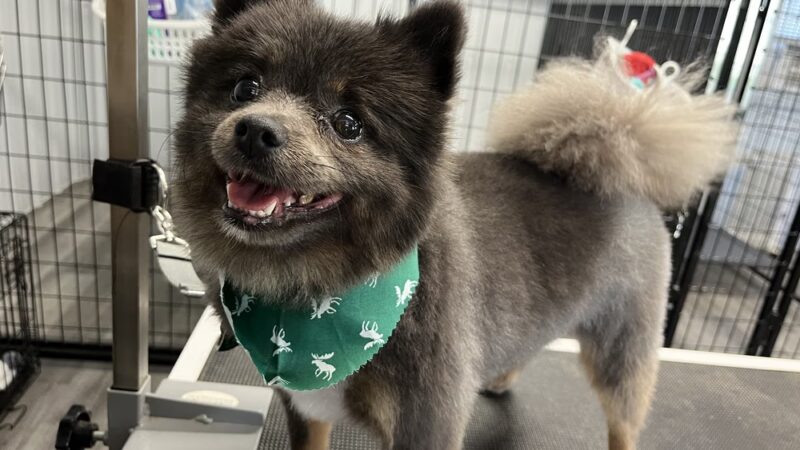 Muddy Puppy Farm - Ewing, KY