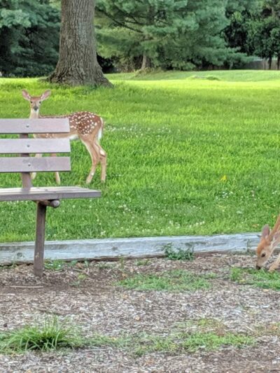 Banchoff Park - Ewing Township, NJ