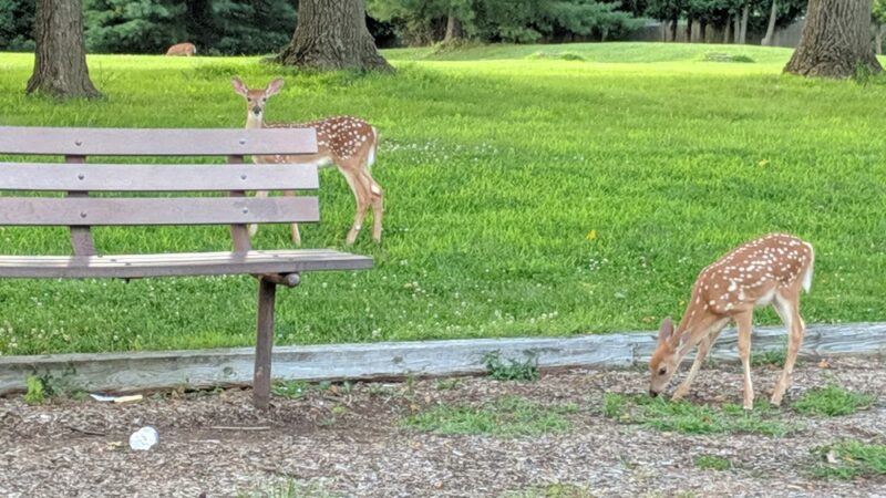 Banchoff Park - Ewing Township, NJ