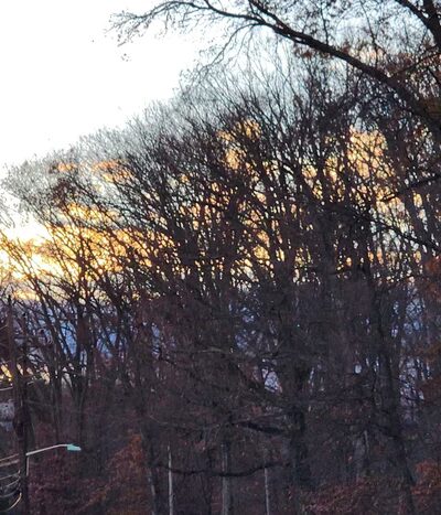 Green Lane Fields - Ewing Township, NJ