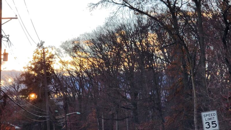 Green Lane Fields - Ewing Township, NJ