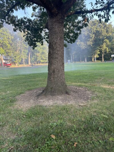 Higgs Park - Ewing Township, NJ