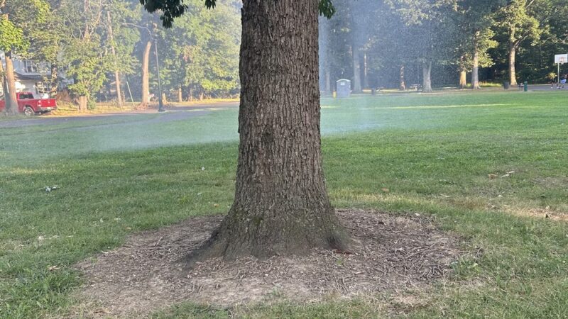 Higgs Park - Ewing Township, NJ