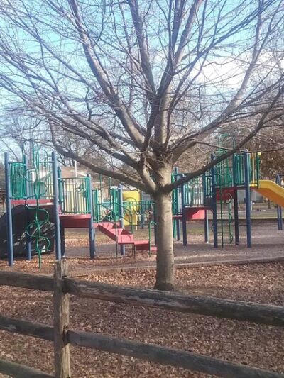Higgs Park - Ewing Township, NJ