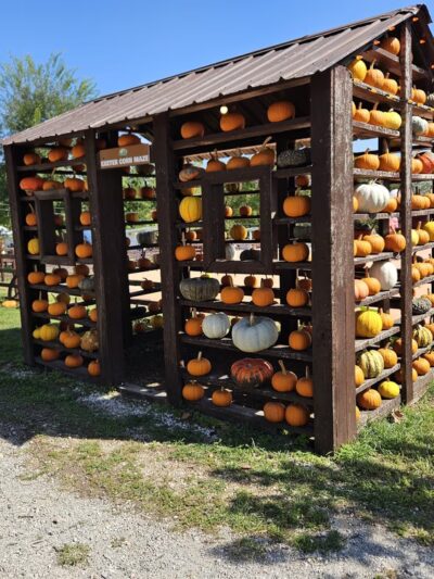 Exeter Corn Maze - Exeter, MO