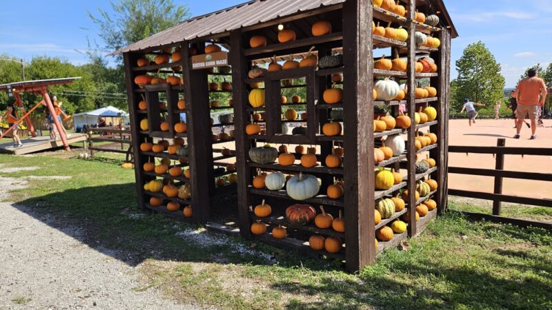 Exeter Corn Maze - Exeter, MO