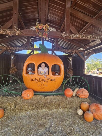 Exeter Corn Maze - Exeter, MO