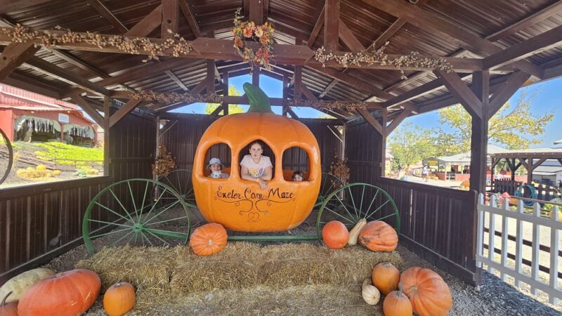 Exeter Corn Maze - Exeter, MO