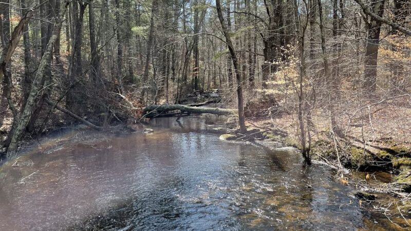 Breakheart Pond Arcadia Trailhead Parking - Exeter, RI