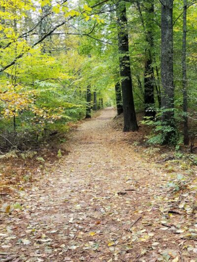 Breakheart Pond Arcadia Trailhead Parking - Exeter, RI
