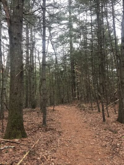 Cuttyhunk Brook Preserve - Exeter, RI