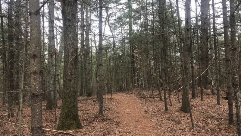 Cuttyhunk Brook Preserve - Exeter, RI