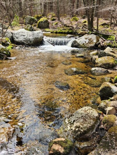 Frosty Hollow Pond - Exeter, RI