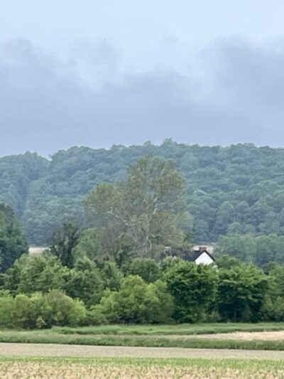 Exton Park Playing Fields - Exton, PA