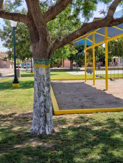 Risinger Park - Fabens, TX