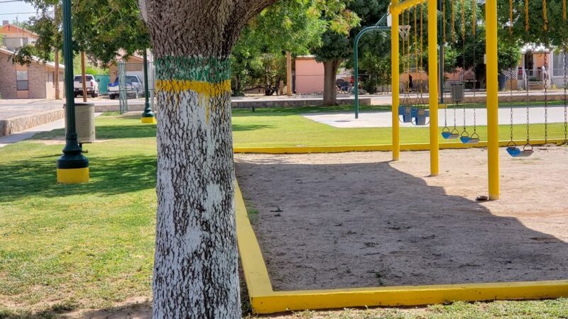Risinger Park - Fabens, TX