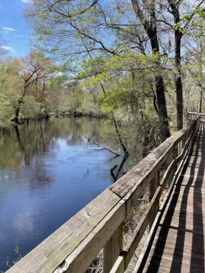 Fair Bluff River Walk - Fair Bluff, NC