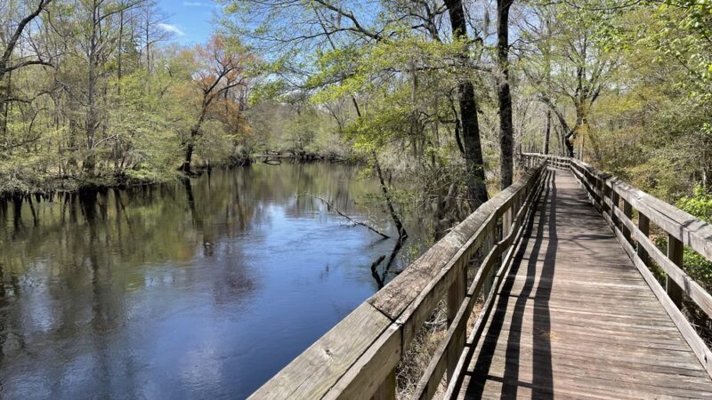 Fair Bluff River Walk - Fair Bluff, NC