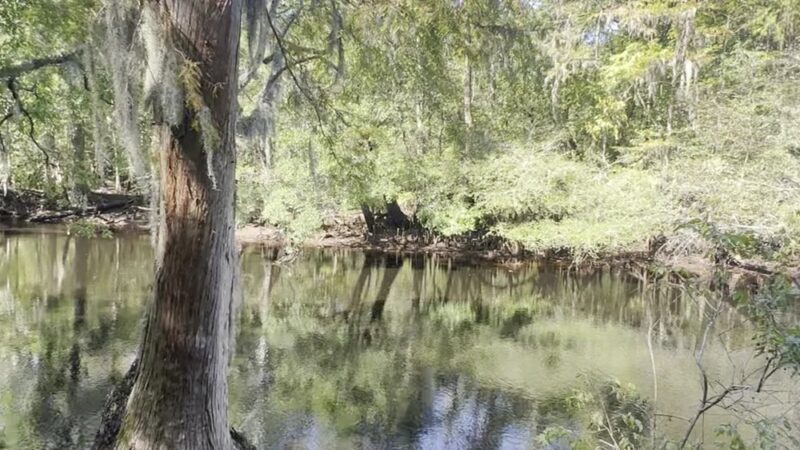 Fair Bluff River Walk - Fair Bluff, NC