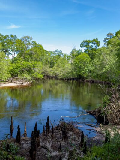 Fair Bluff River Walk - Fair Bluff, NC