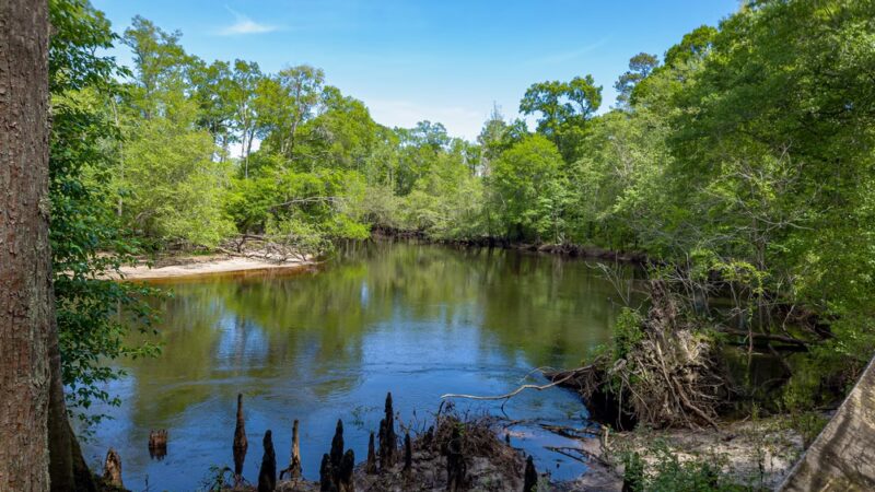 Fair Bluff River Walk - Fair Bluff, NC