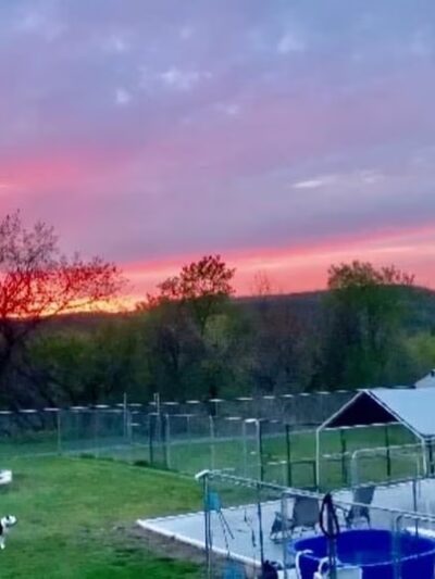Canine Country Club - Fair Haven, VT